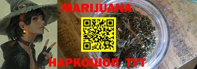 крисы Моздок