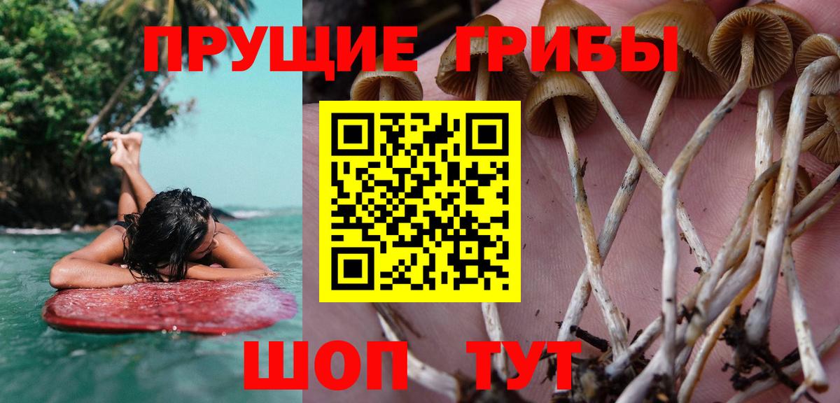 Псилоцибиновые грибы ЛСД Сухой Лог