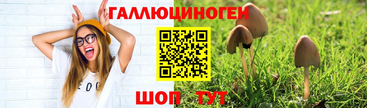 Галлюциногенные грибы мицелий  Галлюциногенные грибы Magic Shrooms  Сухой Лог  Вход с VPN 